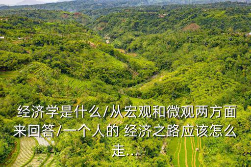  經濟學是什么/從宏觀和微觀兩方面來回答/一個人的 經濟之路應該怎么走...