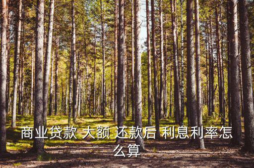 商業貸款 大額 還款后 利息利率怎么算