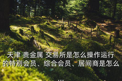 天津 貴金屬 交易所是怎么操作運行的特別會員、綜合會員、居間商是怎么...