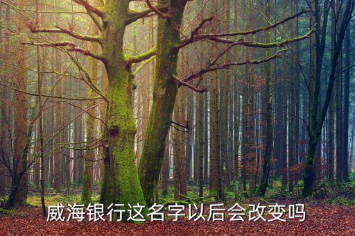威海市商業銀行怎么樣,第二集:威海銀行未來將在天津設分行