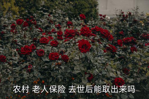 農村 老人保險 去世后能取出來嗎