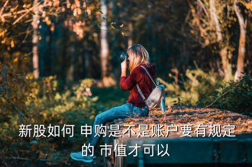  新股如何 申購是不是賬戶要有規定的 市值才可以