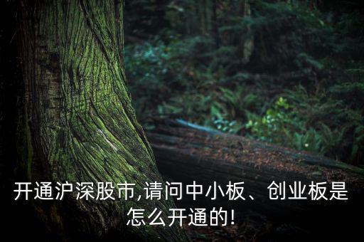 開通滬深股市,請問中小板、創業板是怎么開通的!