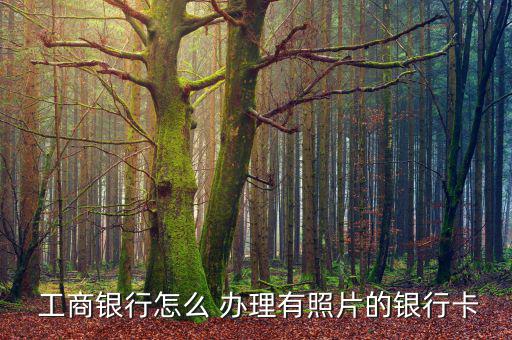 工商卡怎么辦理圖,如何在網上辦理銀行卡?
