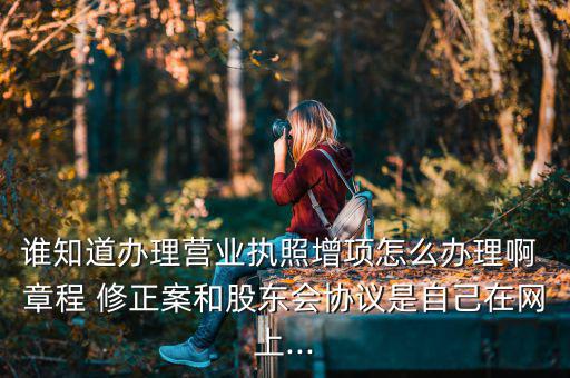 誰知道辦理營業執照增項怎么辦理啊 章程 修正案和股東會協議是自己在網上...