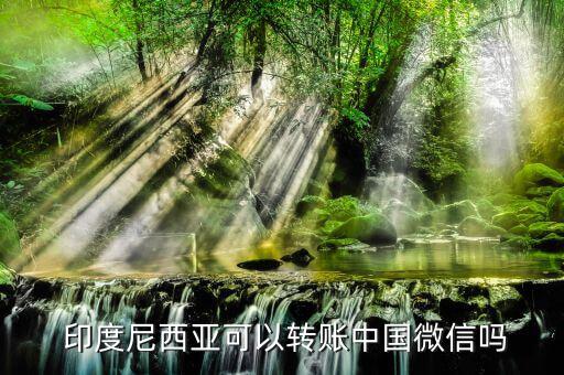  印度尼西亞可以轉賬中國微信嗎