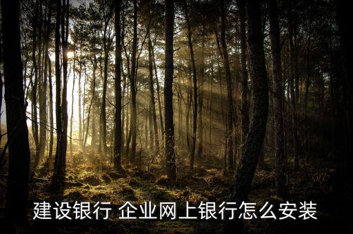 建設銀行 企業網上銀行怎么安裝