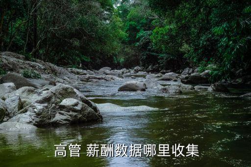  高管 薪酬數據哪里收集