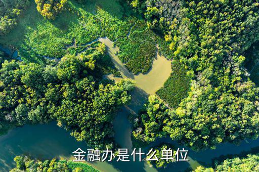 金融辦工作怎么樣,金融辦公室正規劃方向為方向金融業注入活力