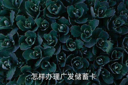 怎樣辦理廣發儲蓄卡