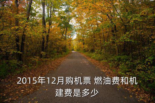 2015飛機(jī)燃油費(fèi)怎么算,我國取消機(jī)場(chǎng)建設(shè)費(fèi)和燃油費(fèi)