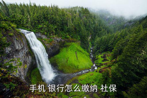 怎么去銀行交社保,如何在中國建設銀行辦理跨境業務