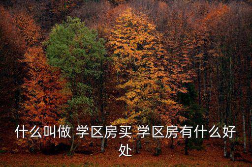 怎么投資學區房,買學區房好處多不好買什么?
