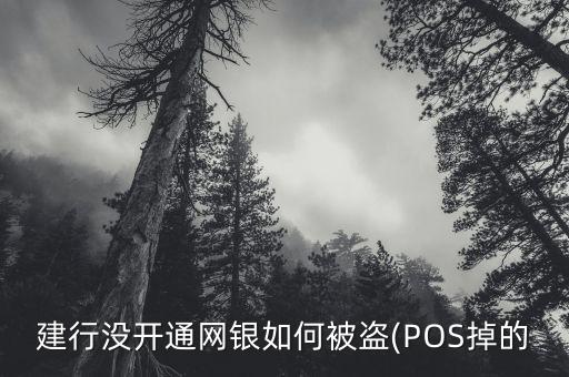 怎么盜網銀,如何避免銀行被盜刷?