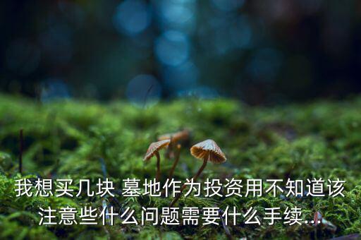 我想買幾塊 墓地作為投資用不知道該注意些什么問題需要什么手續...