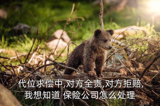  代位求償中,對方全責,對方拒賠,我想知道 保險公司怎么處理