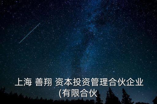  上海 善翔 資本投資管理合伙企業(有限合伙