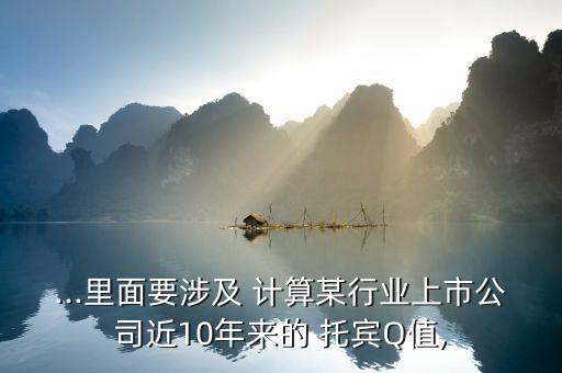 ...里面要涉及 計算某行業上市公司近10年來的 托賓Q值,