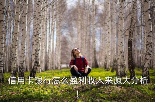 信用卡是怎么贏利的,銀行發(fā)行信用卡賺錢主要來(lái)源高息