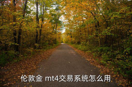 mt4怎么入金,黃金投資新規則