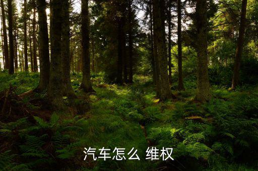 車子維權怎么寫,國內第三方汽車質量投訴平臺車之網正式上線
