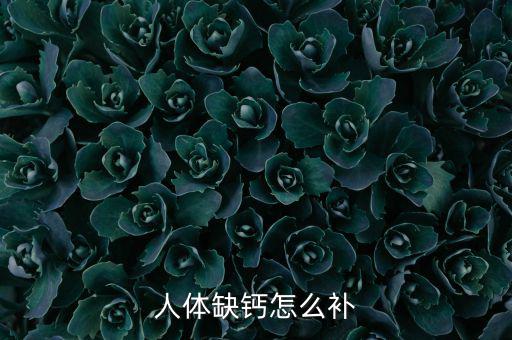 身體缺鎳怎么補,狗狗怎么吃最營養?