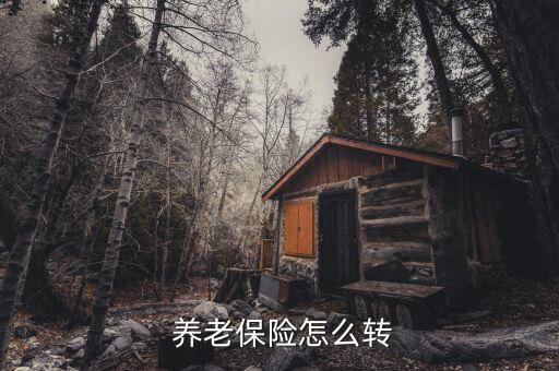 怎么遷移養老保險,社會保險車內轉移和跨省轉移的流程