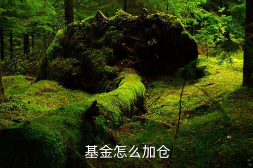 基金怎么換倉換倉,基金經理換倉有什么講究?
