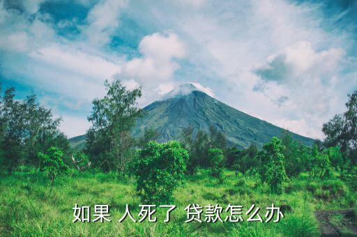 人死了怎么轉還款貸款,借款人若無力還款保證人有義務償還