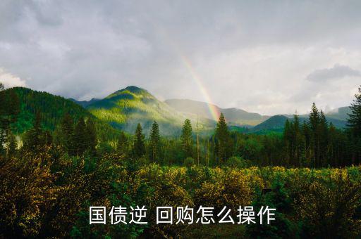 國債逆回購怎么委托,上交所規定國債逆回購最小數量1000個
