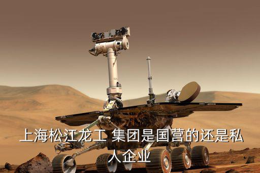 上海龍軟集團怎么樣,一文讀懂!上海電力公司的首發申請