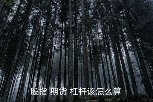 期貨杠桿怎么算,股票指數期貨如何計算杠桿