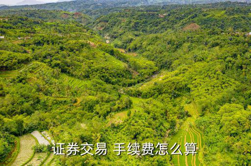 證券交易 手續費怎么算