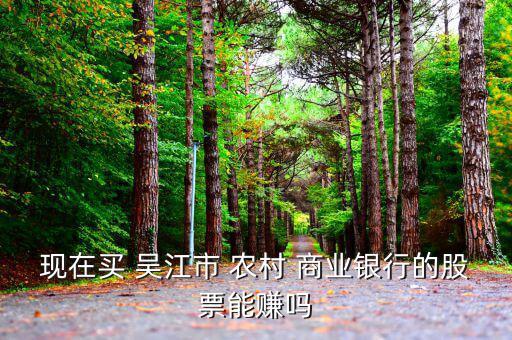 現在買 吳江市 農村 商業銀行的股票能賺嗎