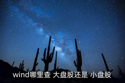 怎么看是大盤股還是小盤股,什么是小盤股?沒有統一標準