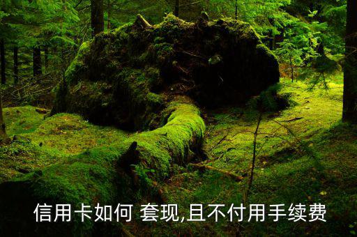 怎么用信用卡套現,中國人民銀行推出信用卡套現計劃提高額度