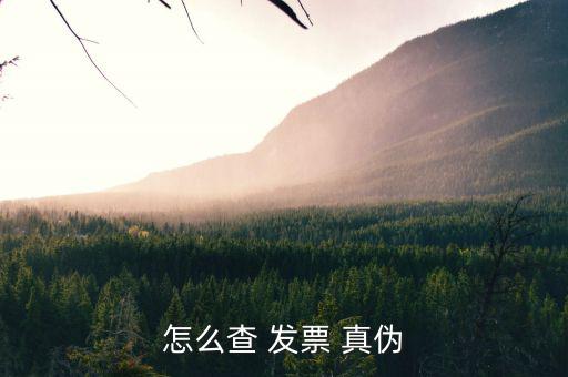 怎么查 發票 真偽