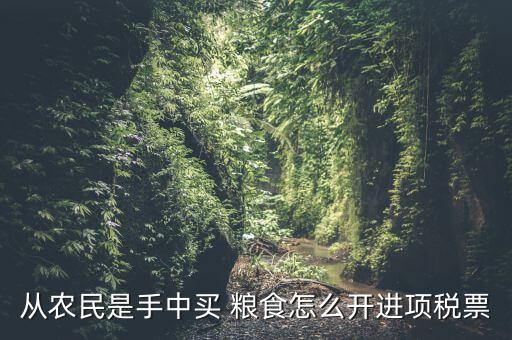從農民是手中買 糧食怎么開進項稅票