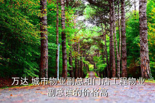 萬達智能城市怎么樣,萬達集團是一家私營企業嗎?