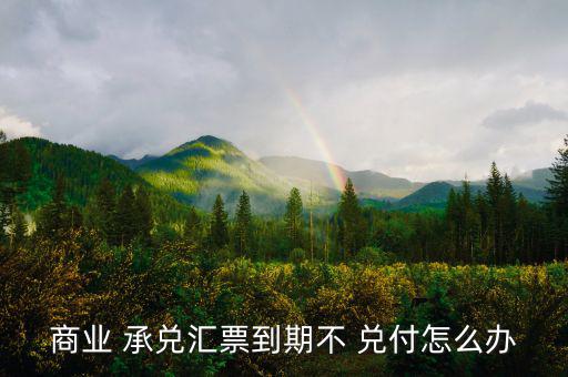 商業 承兌匯票到期不 兌付怎么辦
