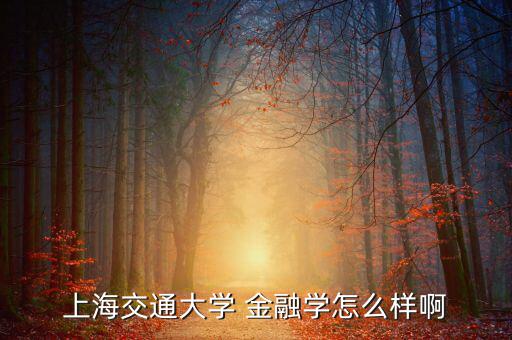 上海交大金融畢業工資怎么樣,上海交通大學金融學院簡介