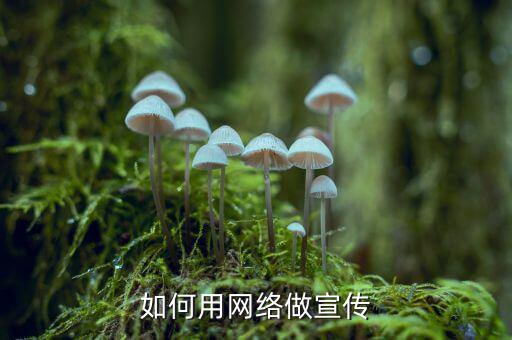 典當怎么和互聯網結合,關注房地產市場動態當局推出免費配套