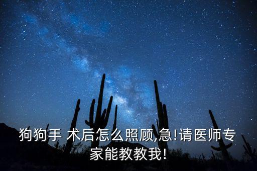 狗狗手 術后怎么照顧,急!請醫師專家能教教我!