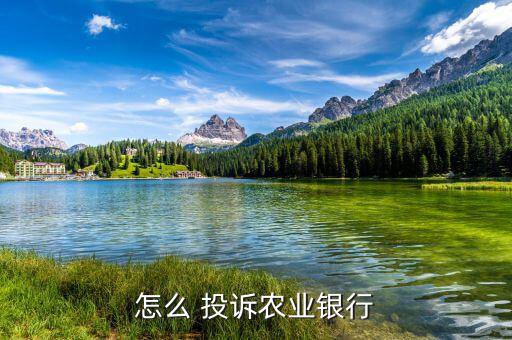 怎么 投訴農業銀行