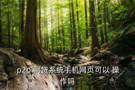 p2p網貸怎么操作,互聯網金融業