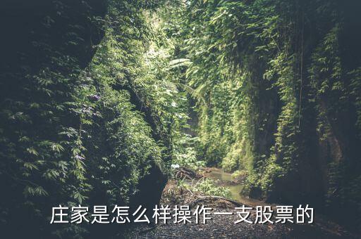 網上莊家怎么做,市場韭菜還不夠多莊家還得硬著頭皮繼續拉