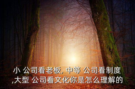 怎么算中等公司,關于發展和管理我們必須知道的事