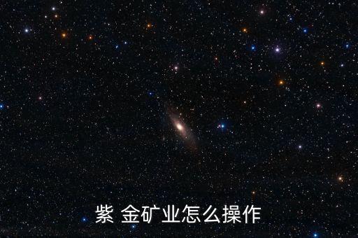 紫金礦怎么弄,黃金礦產業的概況