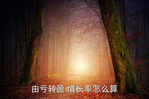 由虧轉盈 增長率怎么算