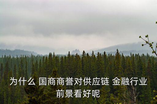 國商金融怎么樣,國商信聯金融匯利息10%?